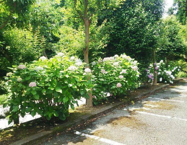 総在寺,静岡県裾野市深良3411−2
