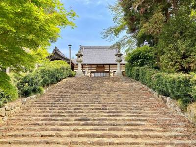 長泉寺   (蒲郡市),見どころ,を神