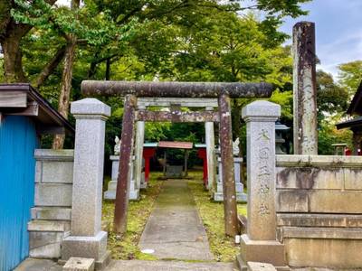 大国玉神社,見どころ,を神