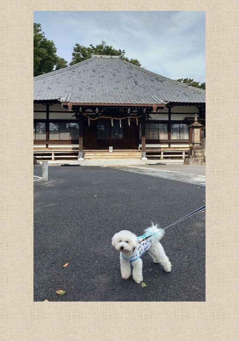 了源寺,神奈川県川崎市幸区北加瀬1-13-1