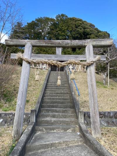 大原子神社,見どころ,メタモン
