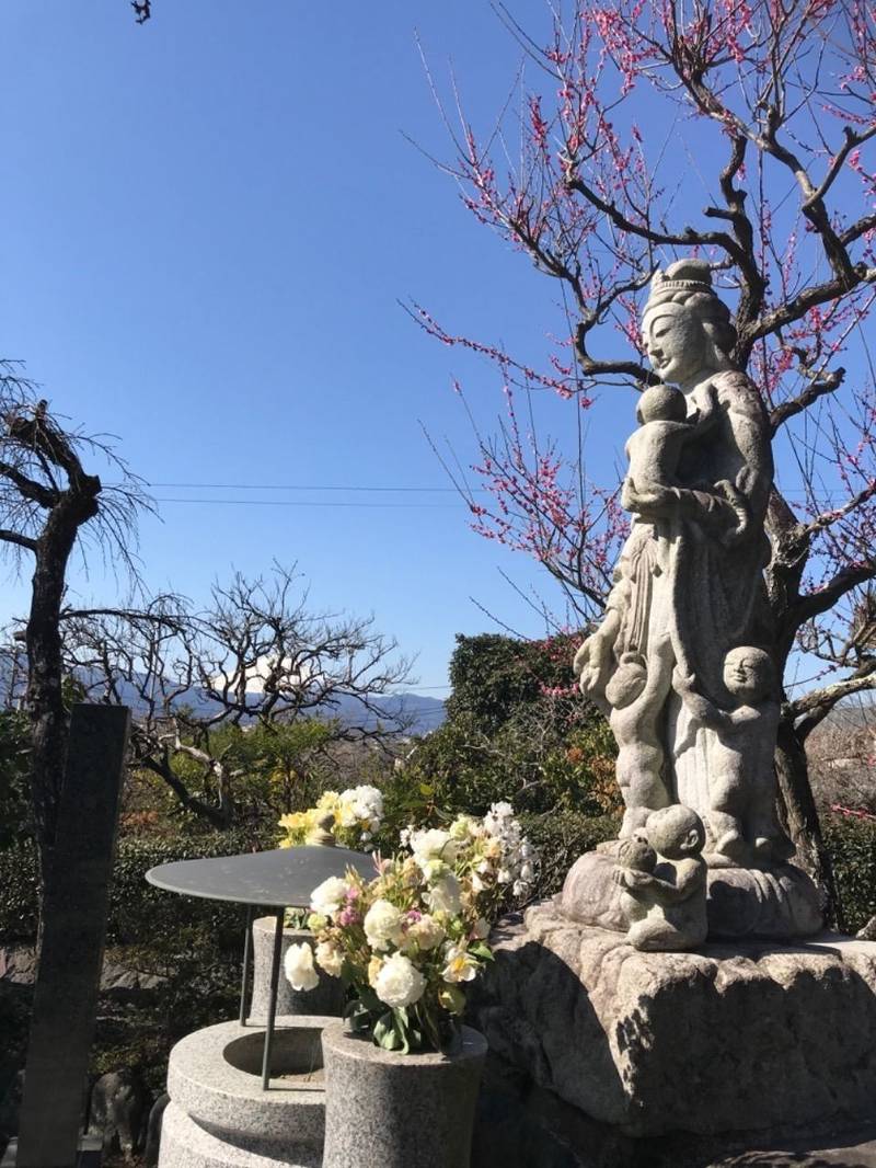 法蓮寺,神奈川県小田原市曽我別所54