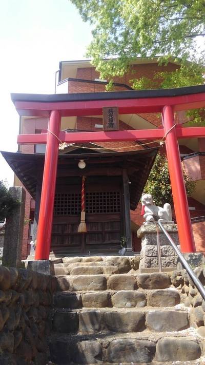 共光稲荷神社,見どころ,あおつき