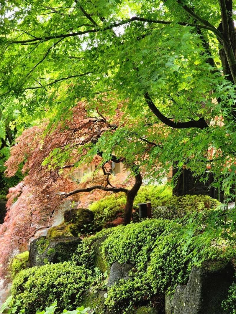 蓮華寺,山梨県南巨摩郡富士川町鰍沢２３２１