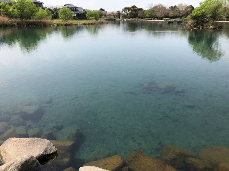 浮島神社,熊本県上益城郡嘉島町井寺2827