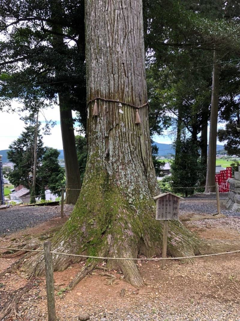 竹生神社,愛知県新城市杉山7-2