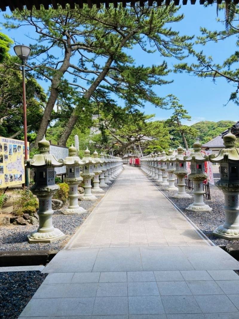 誕生寺 御朱印 鴨川市 千葉県 Omairi おまいり 誕生寺 御朱印 鴨川市 千葉県 Omairi おまいり