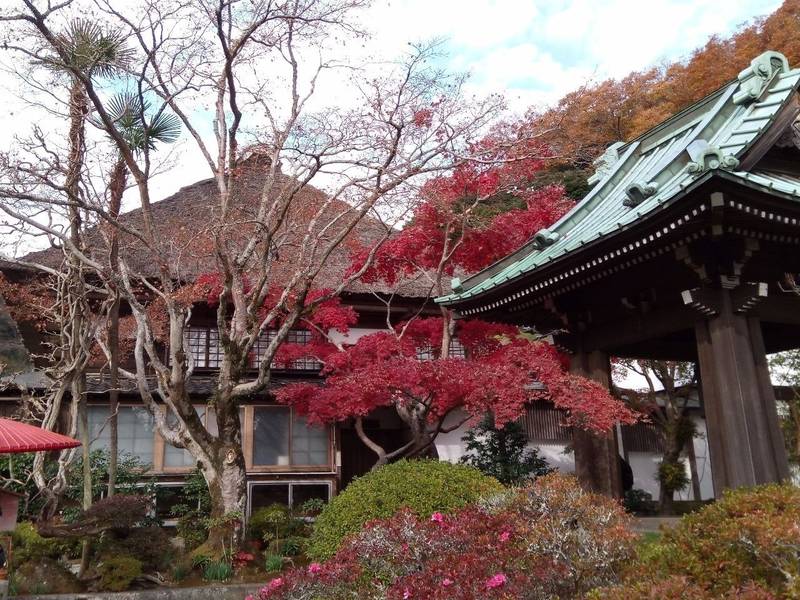 海蔵寺,神奈川県鎌倉市扇ガ谷4-18−8