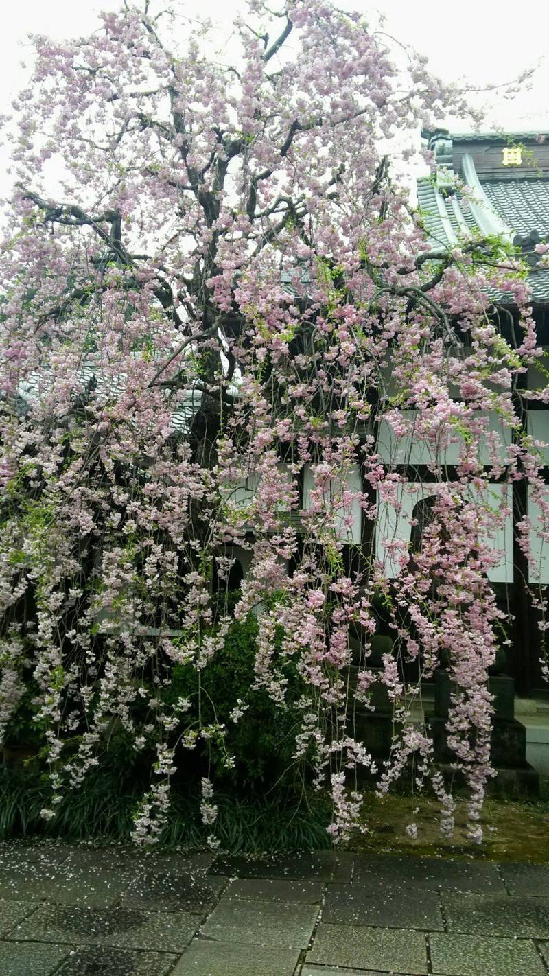 福相寺 (杉並区),東京都杉並区堀ノ内3-48-58