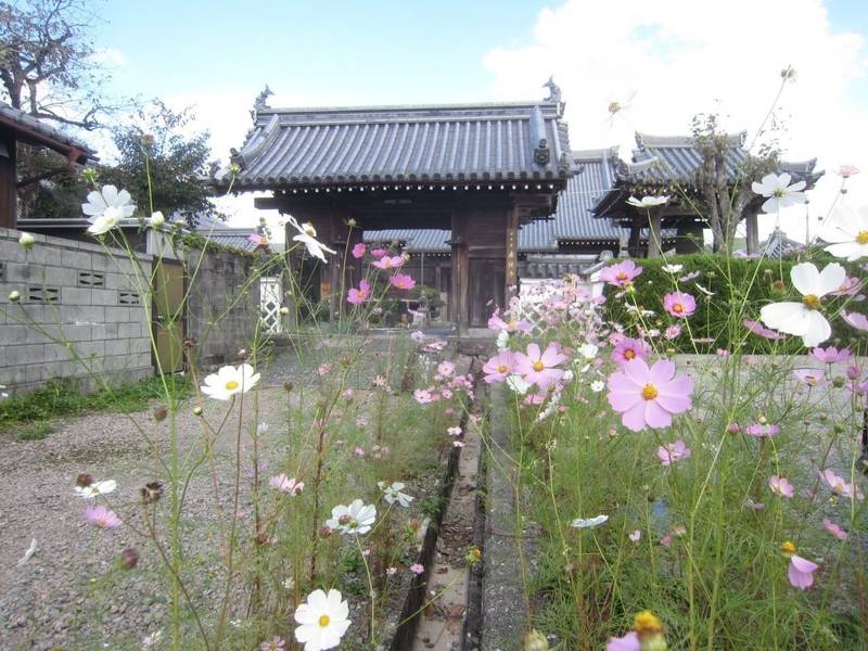 来迎寺,兵庫県丹波篠山市立町１４５−１