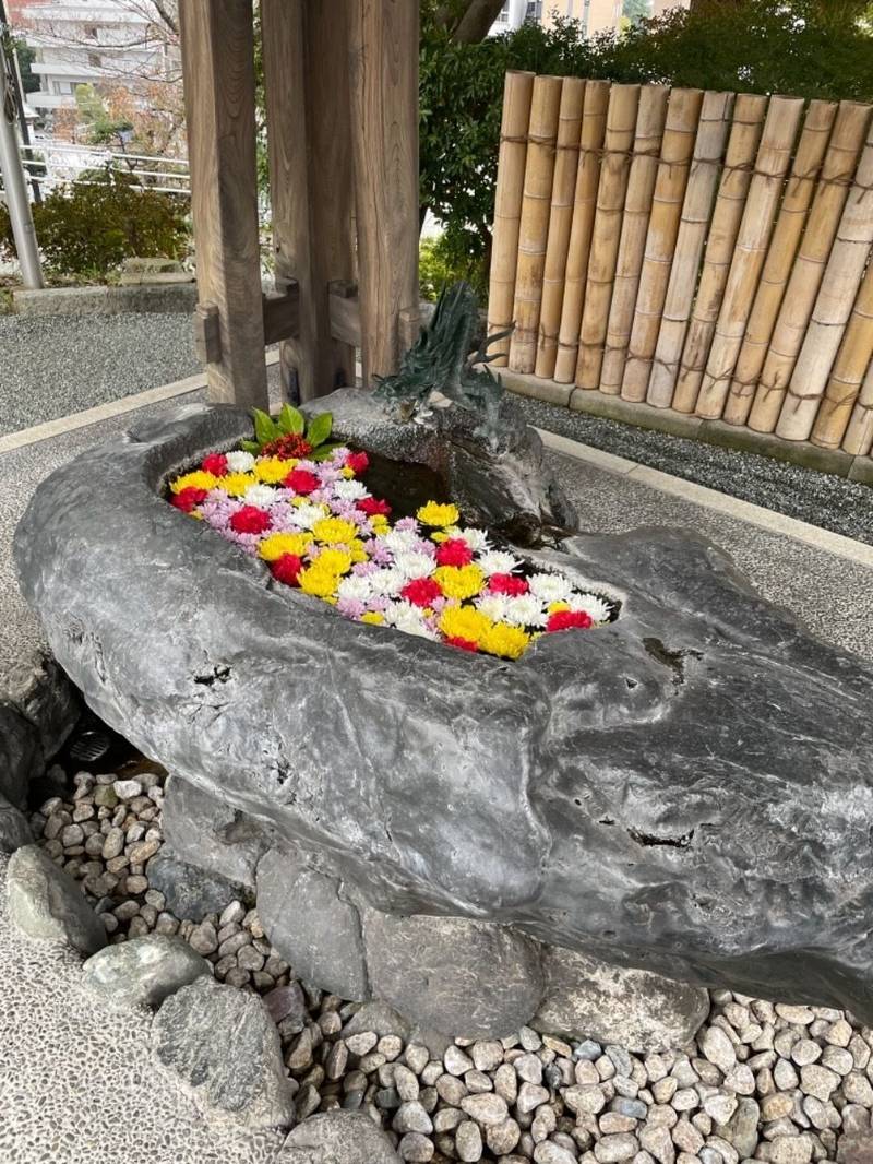 孝道山,神奈川県横浜市神奈川区鳥越38