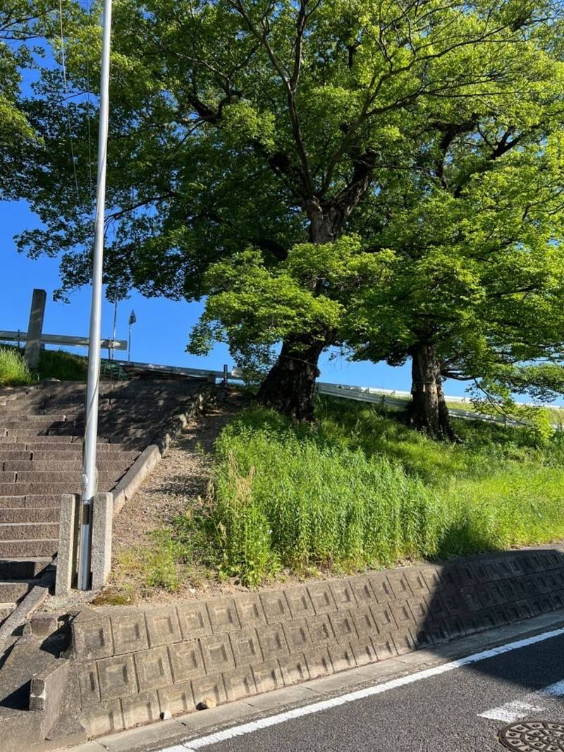 星神社 御朱印 名古屋市/愛知県 Omairi(おまいり)