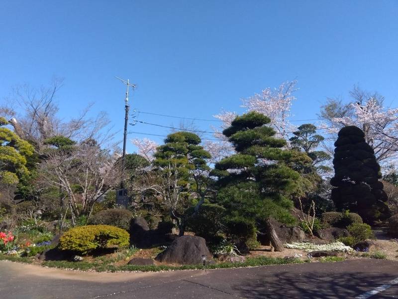 円福寺,茨城県東茨城郡茨城町鳥羽田６５６