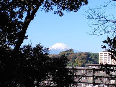 笠間青木神社,見どころ,ろびっく