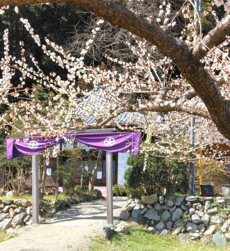 越生山 建康寺,埼玉県入間郡越生町小杉461