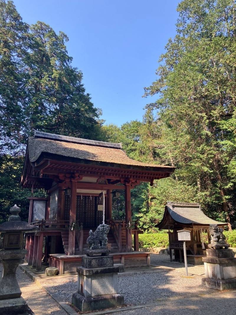 苗村神社,滋賀県蒲生郡竜王町綾戸467