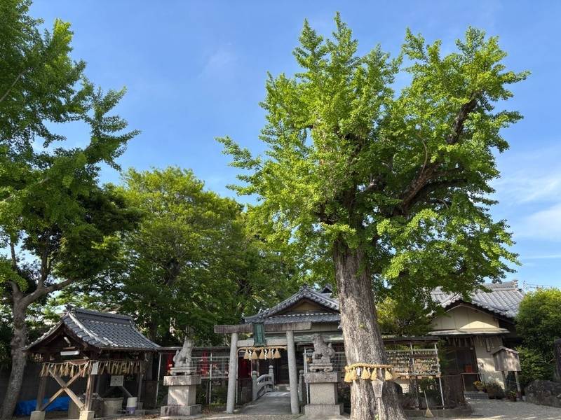市杵島姫神社,三重県津市下弁財町2391
