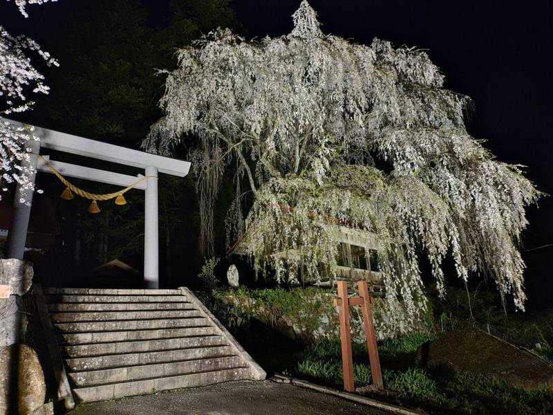 浅井神明神社    (朝日町浅井),岐阜県高山市朝日町浅井1200番地
