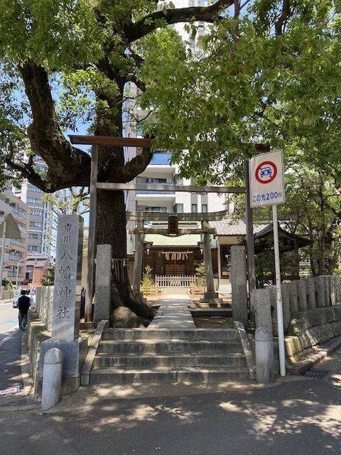 八幡神社  (市川),千葉県市川市市川1-19-1