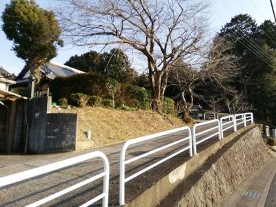 専念寺,見どころ,