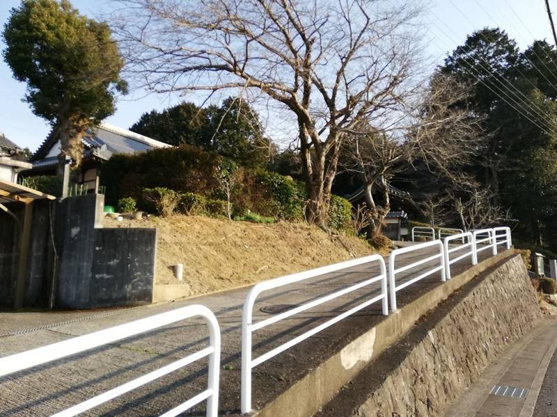 専念寺,滋賀県野洲市入町289