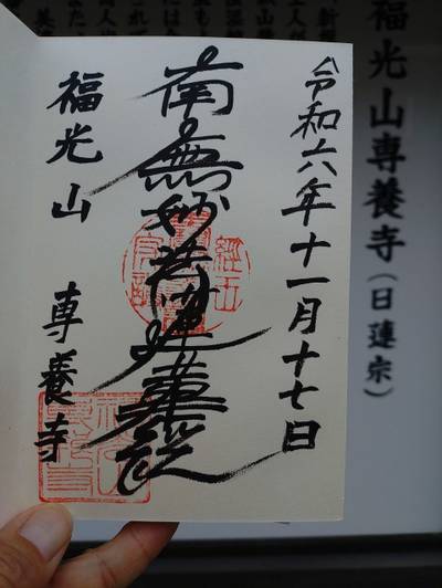 専養寺,御朱印,ちゅら君
