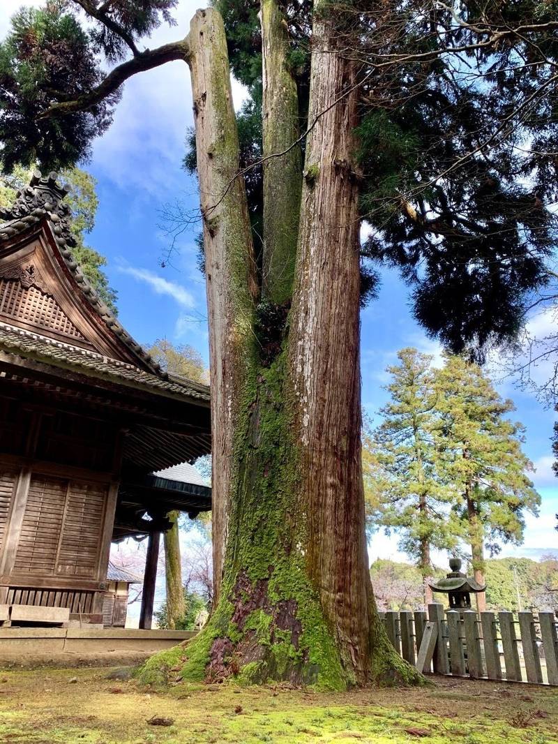 伊富岐神社,岐阜県不破郡垂井町伊吹1484-1