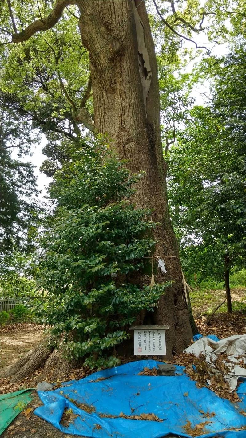 袖師神明宮,静岡県静岡市清水区袖師町38