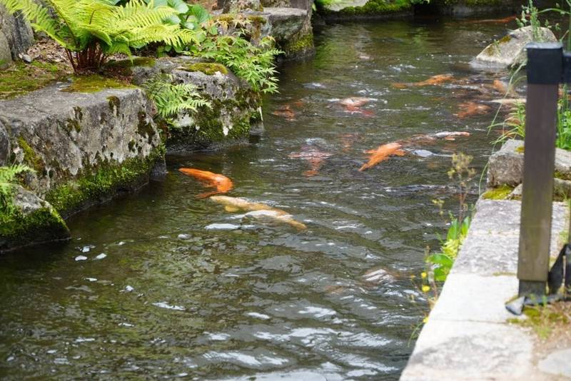 気多若宮神社,岐阜県飛騨市古川町上気多1297
