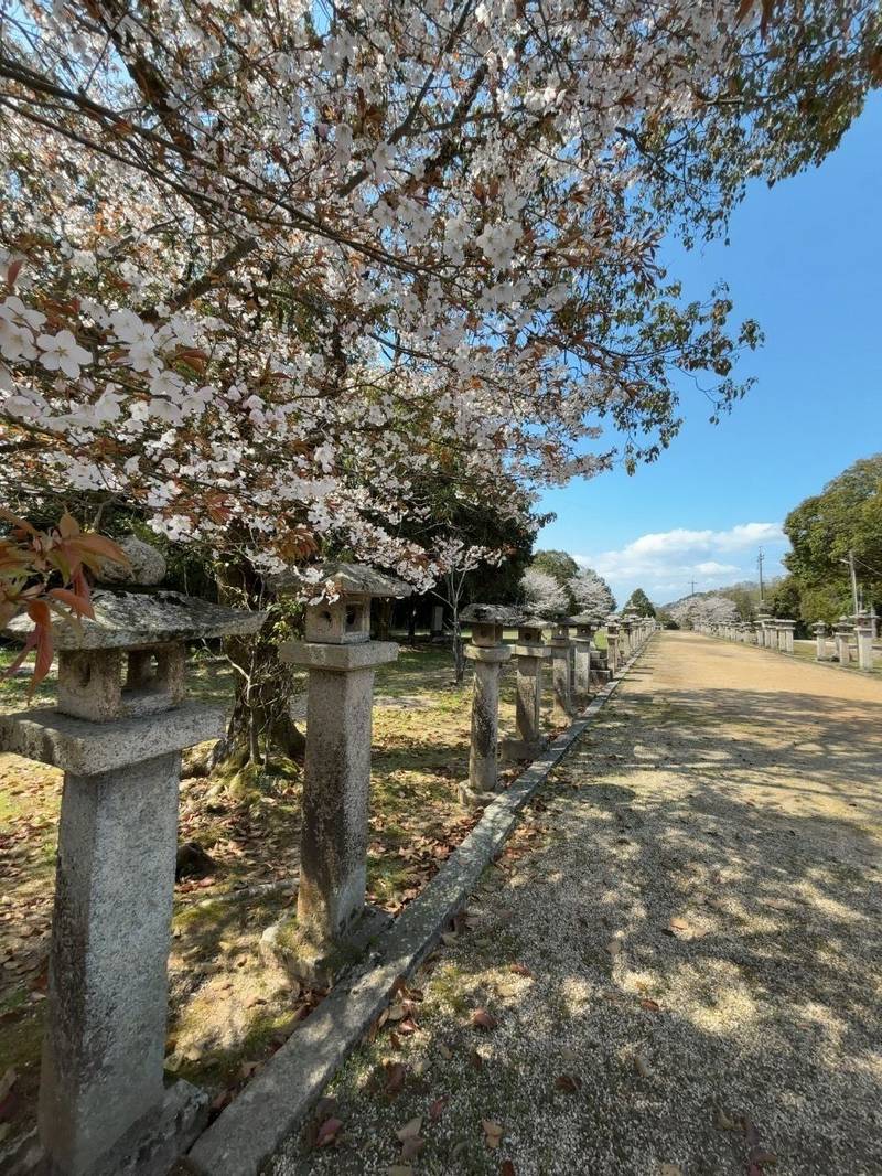 秋穂正八幡宮,山口県山口市秋穂西337