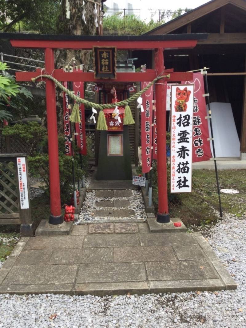 招霊赤猫社の御朱印