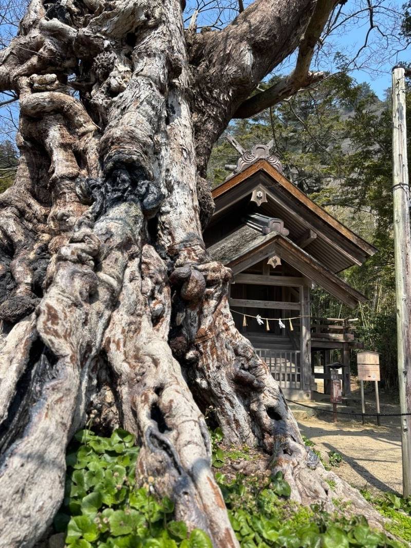 神魂伊能知奴志神社  (命主社),島根県出雲市大社町杵築東185