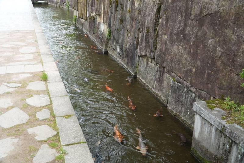 気多若宮神社,岐阜県飛騨市古川町上気多1297
