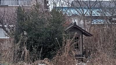 志波姫神社  (志波姫八樟新田),周辺情報,出羽散々な日々