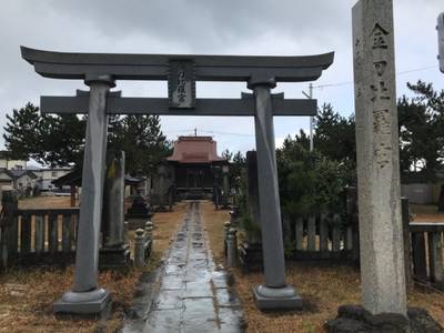 金刀比羅宮  (新花町),見どころ,なかじぃ