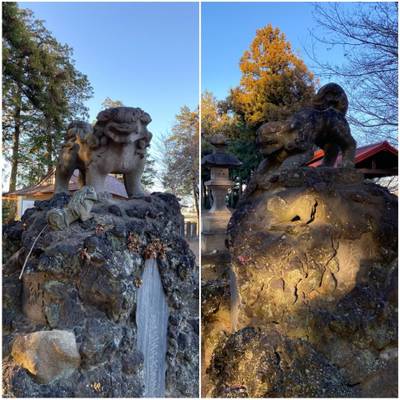 塚崎香取神社,見どころ,チャンシル