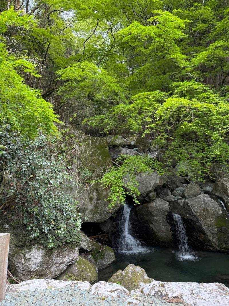 妙泰寺,高知県長岡郡大豊町穴内1850