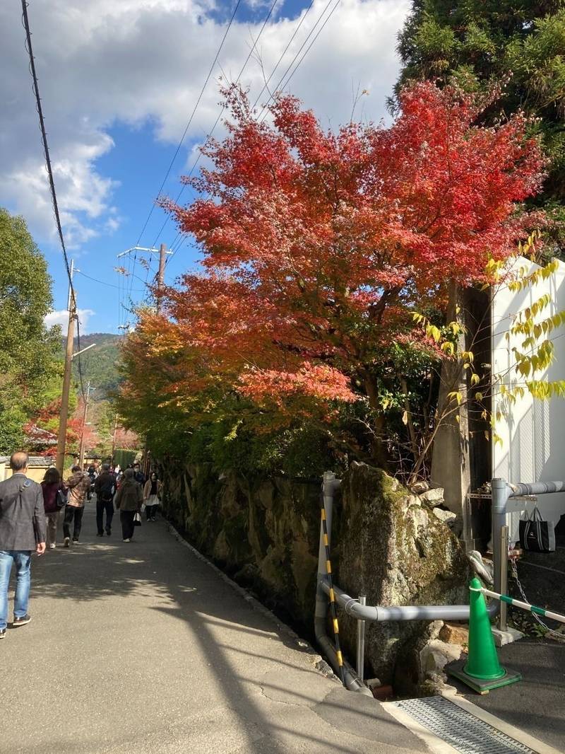 南陽院,京都府京都市左京区南禅寺福地町８６−１０ 南陽院
