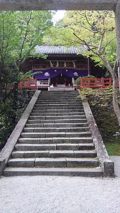 御所市の御朱印 神社 お寺 人気ランキング21 Omairi おまいり 御所市の御朱印 神社 お寺 人気ランキング21 Omairi おまいり