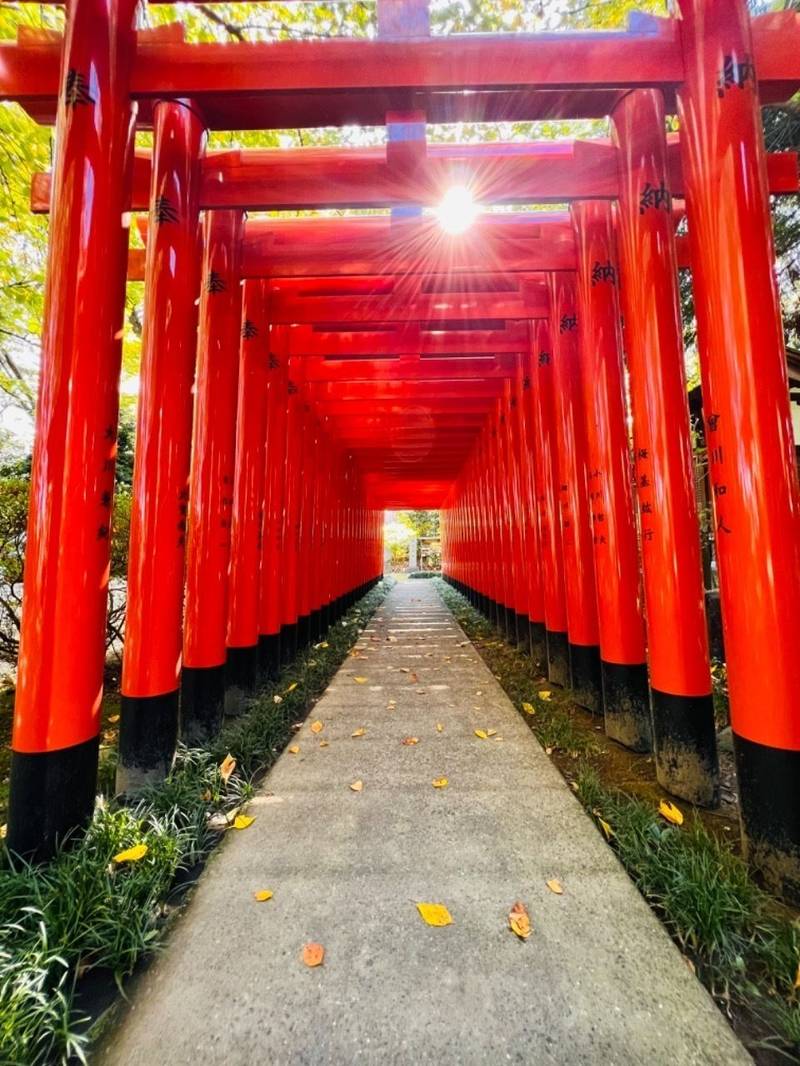 春日神社 金沢市/石川県 Omairi(おまいり)