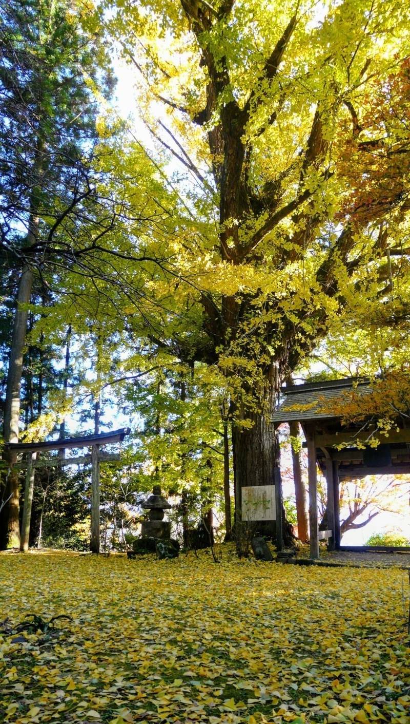 戒場神社,奈良県宇陀市榛原戒場３８８