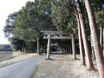 長嶋神社,見どころ,