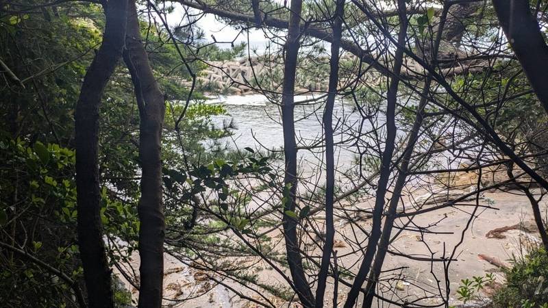 鼻節神社,宮城県宮城郡七ヶ浜町花淵浜字誰道1