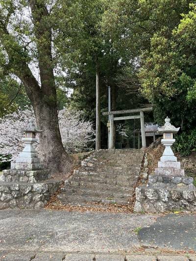 唐頭神社,見どころ,メタモン