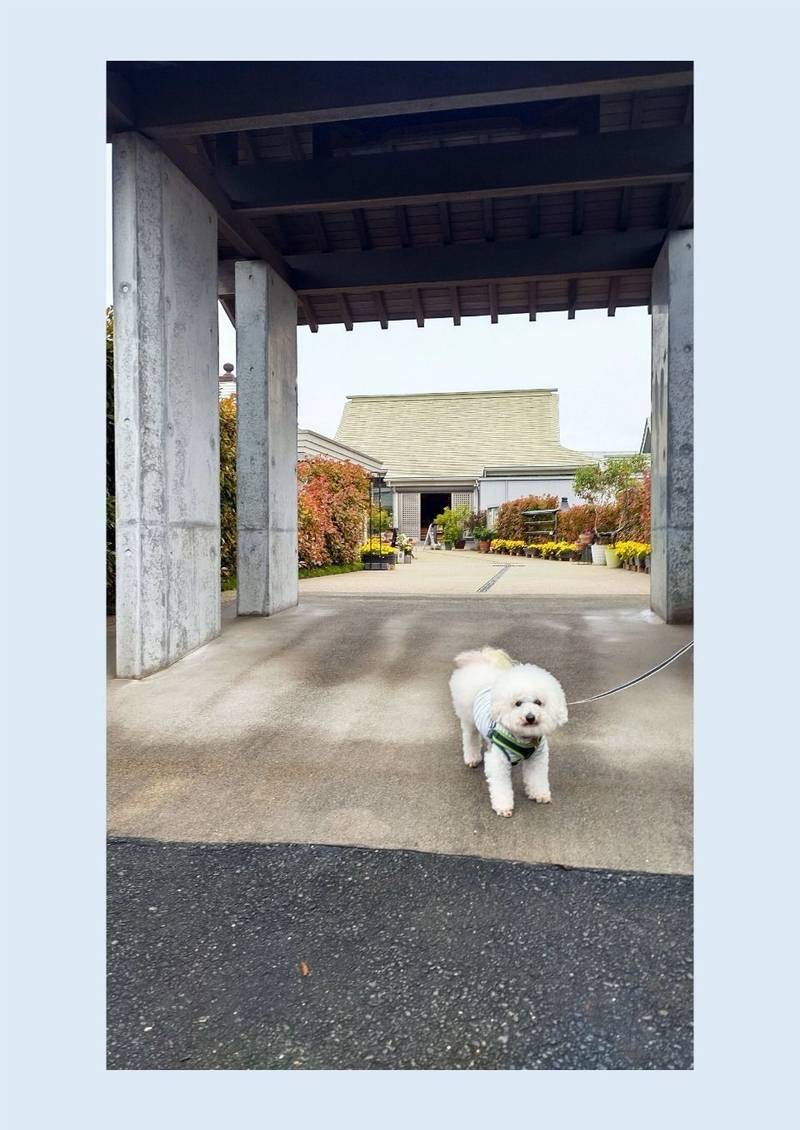 正授院,静岡県浜松市中央区渡瀬町368(みどり霊園)