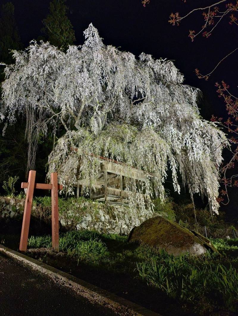 浅井神明神社    (朝日町浅井),岐阜県高山市朝日町浅井1200番地