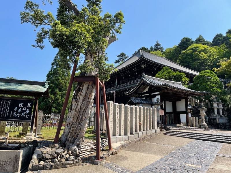 東大寺二月堂,奈良県奈良市雑司町４０６−１