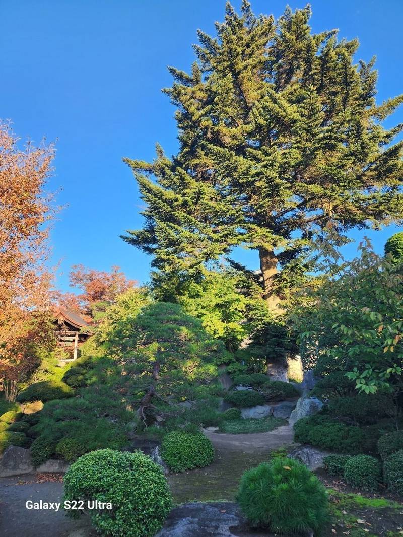 柏山寺,山形県山形市薬師町2-12-32