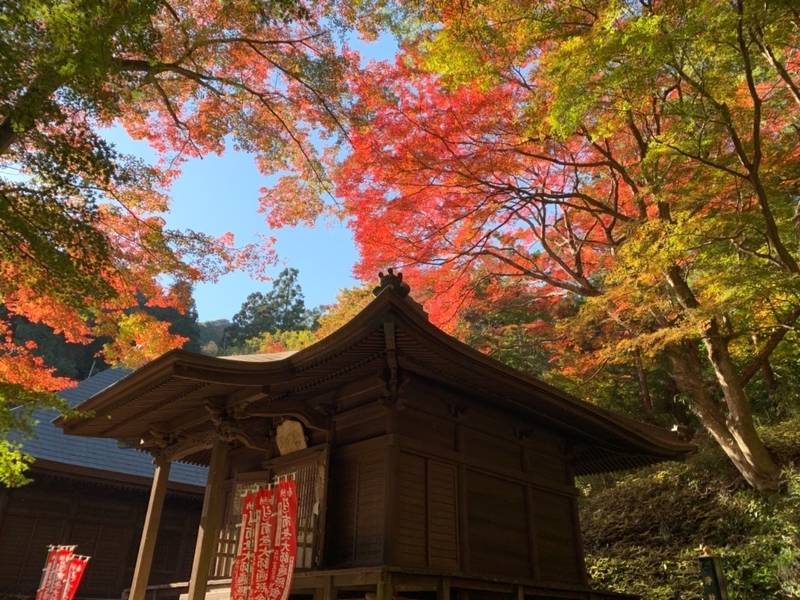 普門寺 切り絵御朱印 発祥の寺 Omairi おまいり 普門寺 切り絵御朱印 発祥の寺 Omairi おまいり