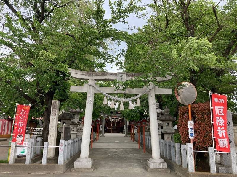 駒形神社,群馬県前橋市駒形町710